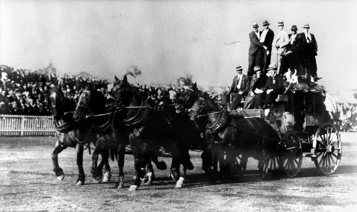Horse team in action at the Exhibition Ground, RNA Show Brisbane, 1925