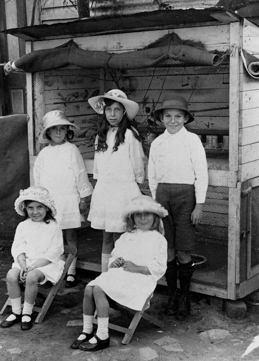 Children from the Phillips family of Fortitude Valley, Brisbane, posing in front of their aviary in 1915