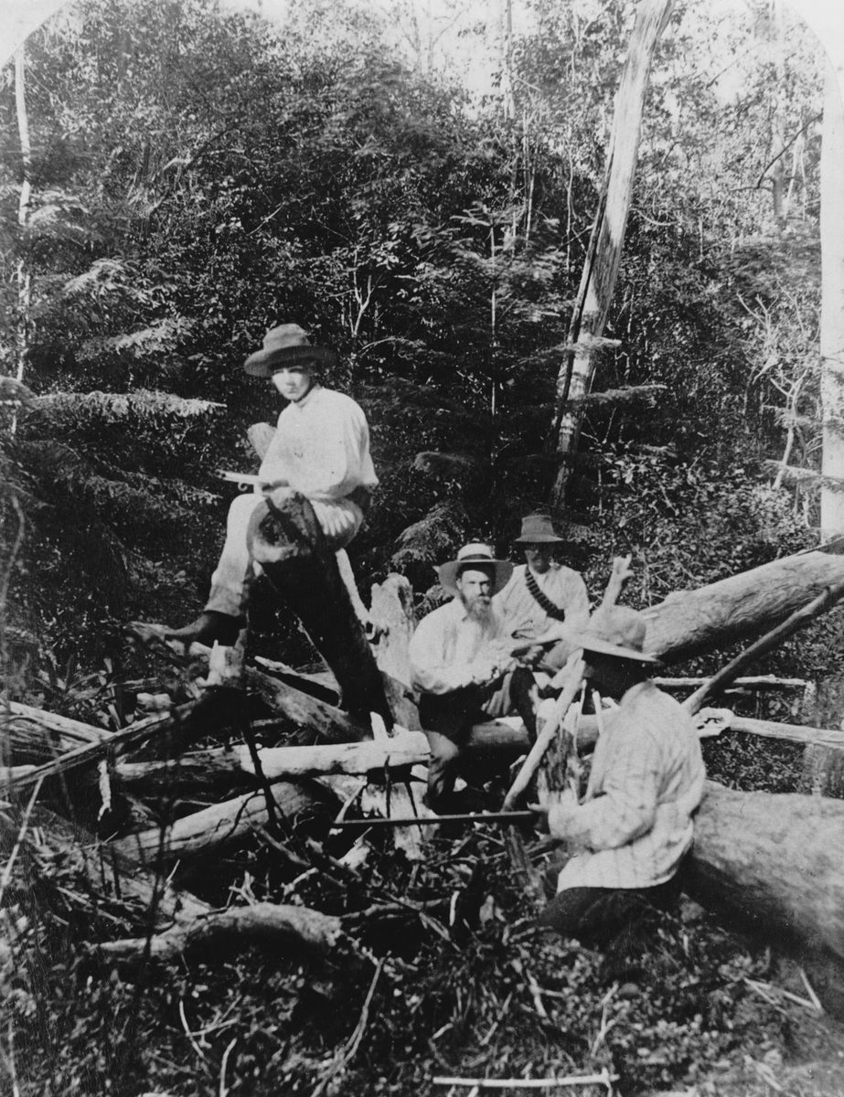 Shooters in the bush at Pullenvale, Brisbane, 1889