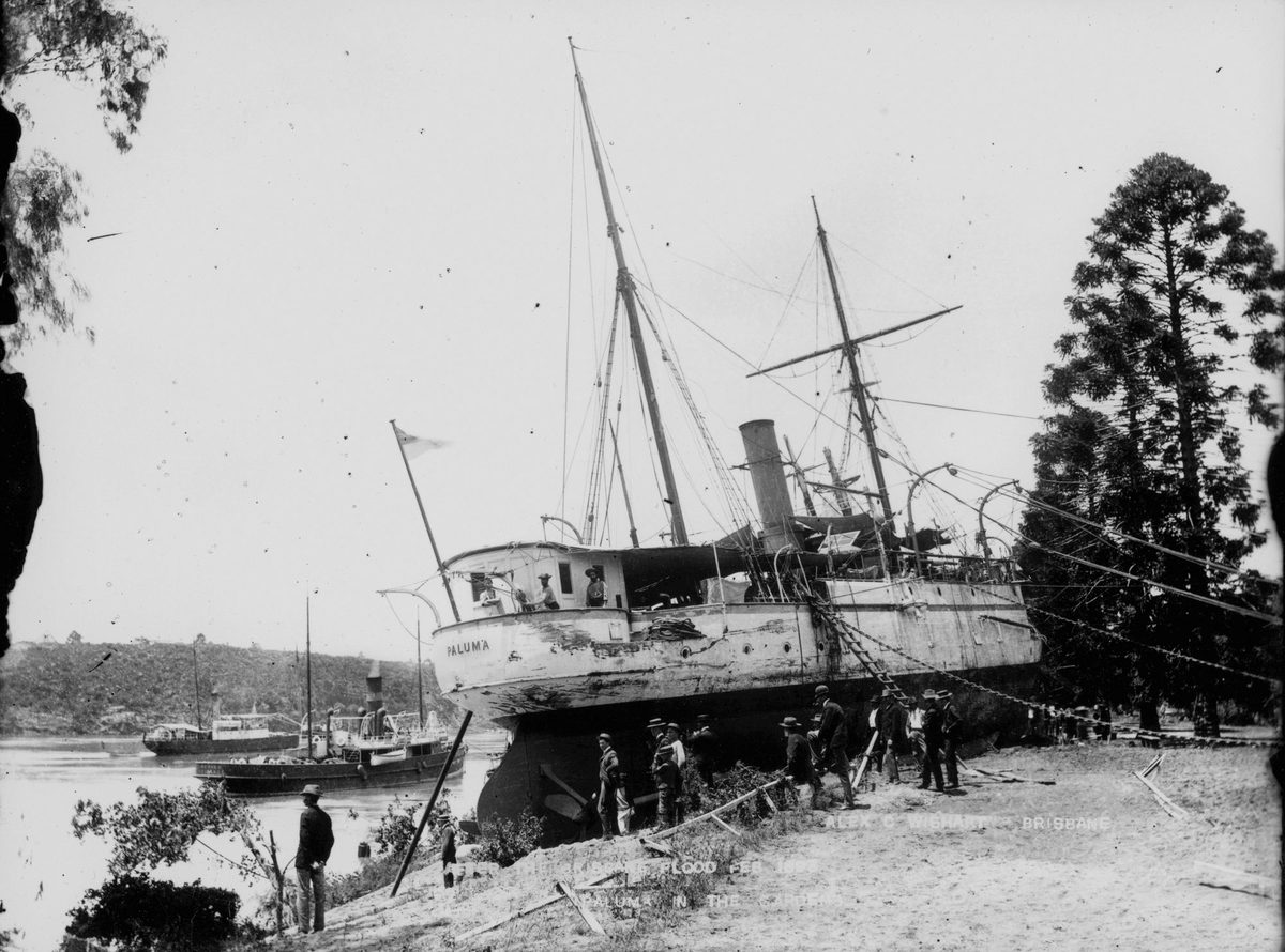 Paluma (ship) aground at the Botanic Gardens, Brisbane, during the 1893 flood