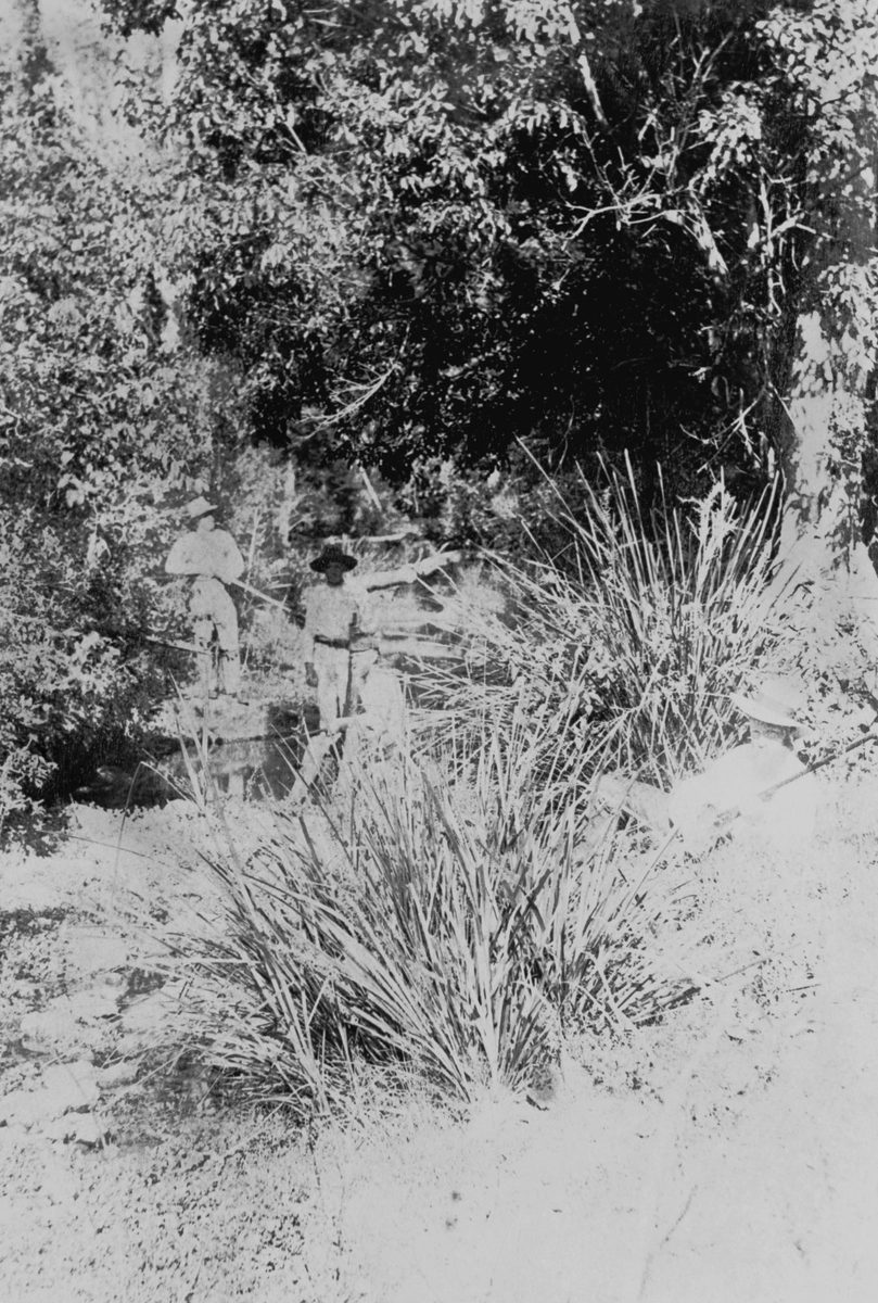 Three men with guns by a small creek in the bush at Pullenvale, 1889