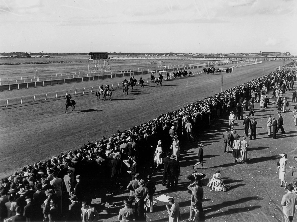 Parade of horses, before the running of the Doomben Ten Thousand race, Brisbane, July 1950