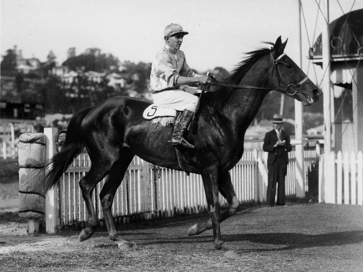 Teal Top returning to scale, Brisbane, April 1936