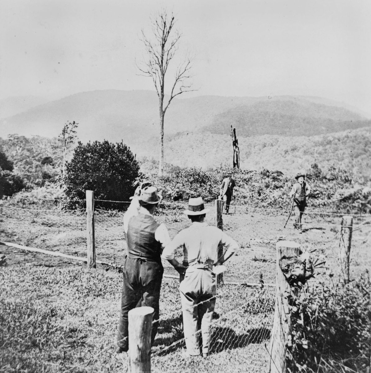 Summit of Mt Glorious looking twoards Mt O'Reilly, Queensland