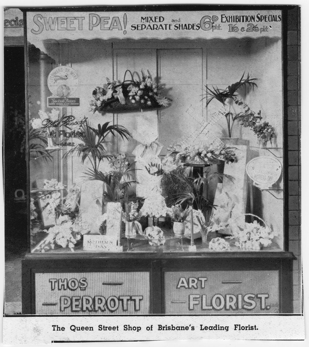 Shop window of Thomas Perrott, florist in Queen Street, Brisbane, 1939