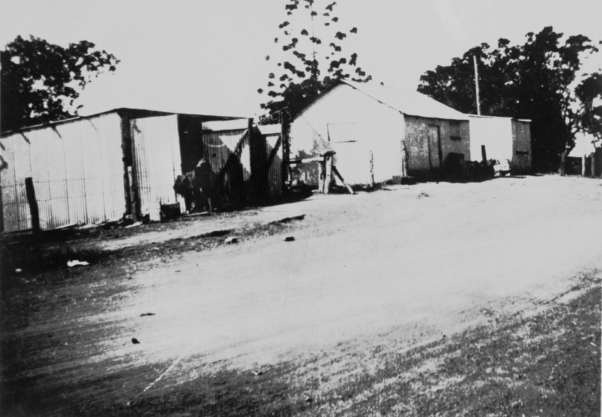 Shopping in Mount Crosby,1924