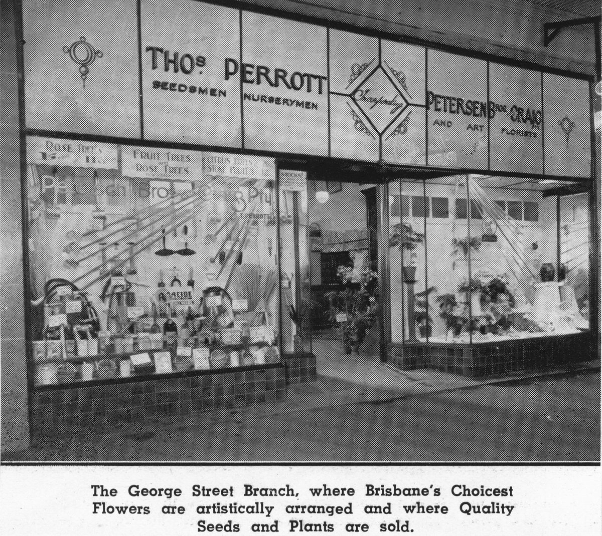 Windows of Thomas Perrott & Petersen Bros.