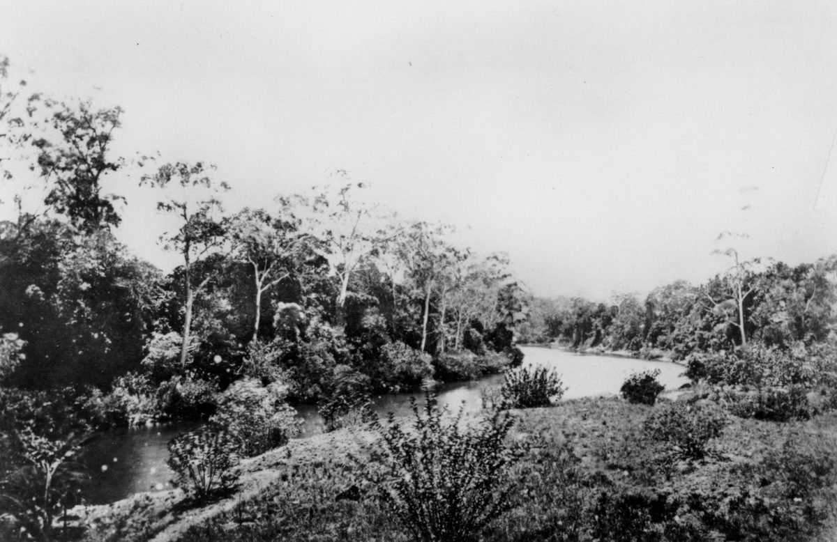 Along the Caboolture River near the Whish sugar plantation, Oaklands, 1873