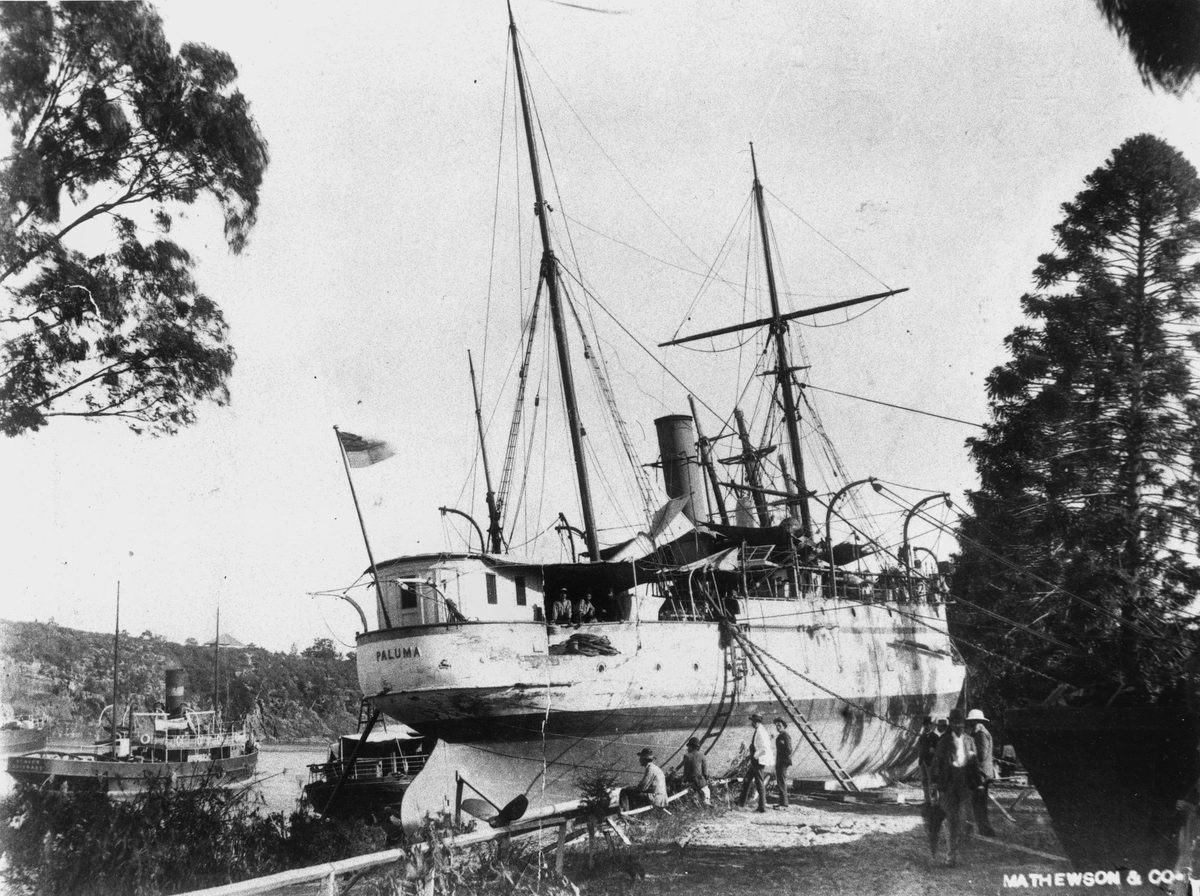 Paluma (ship)