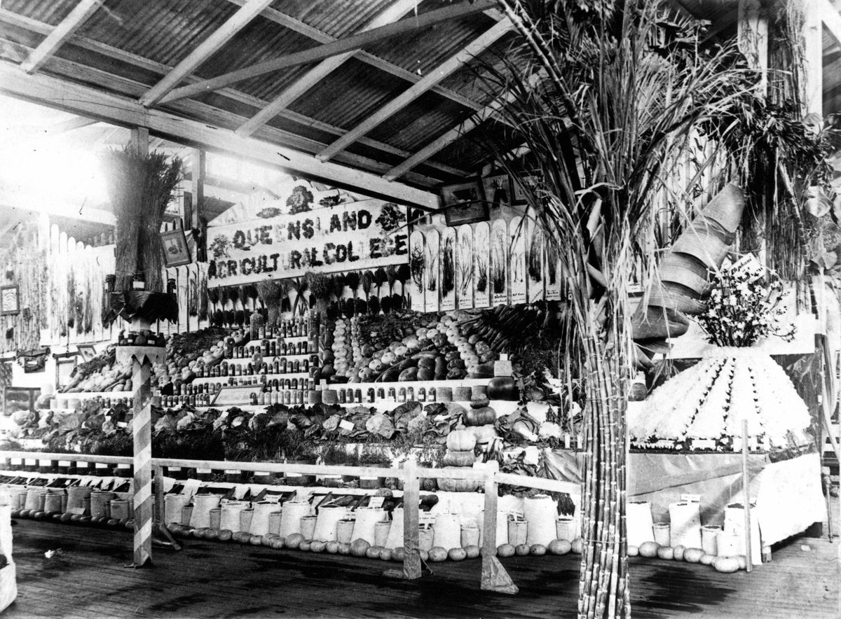 Queensland Agricultural College produce display at the Brisbane Show, 1906