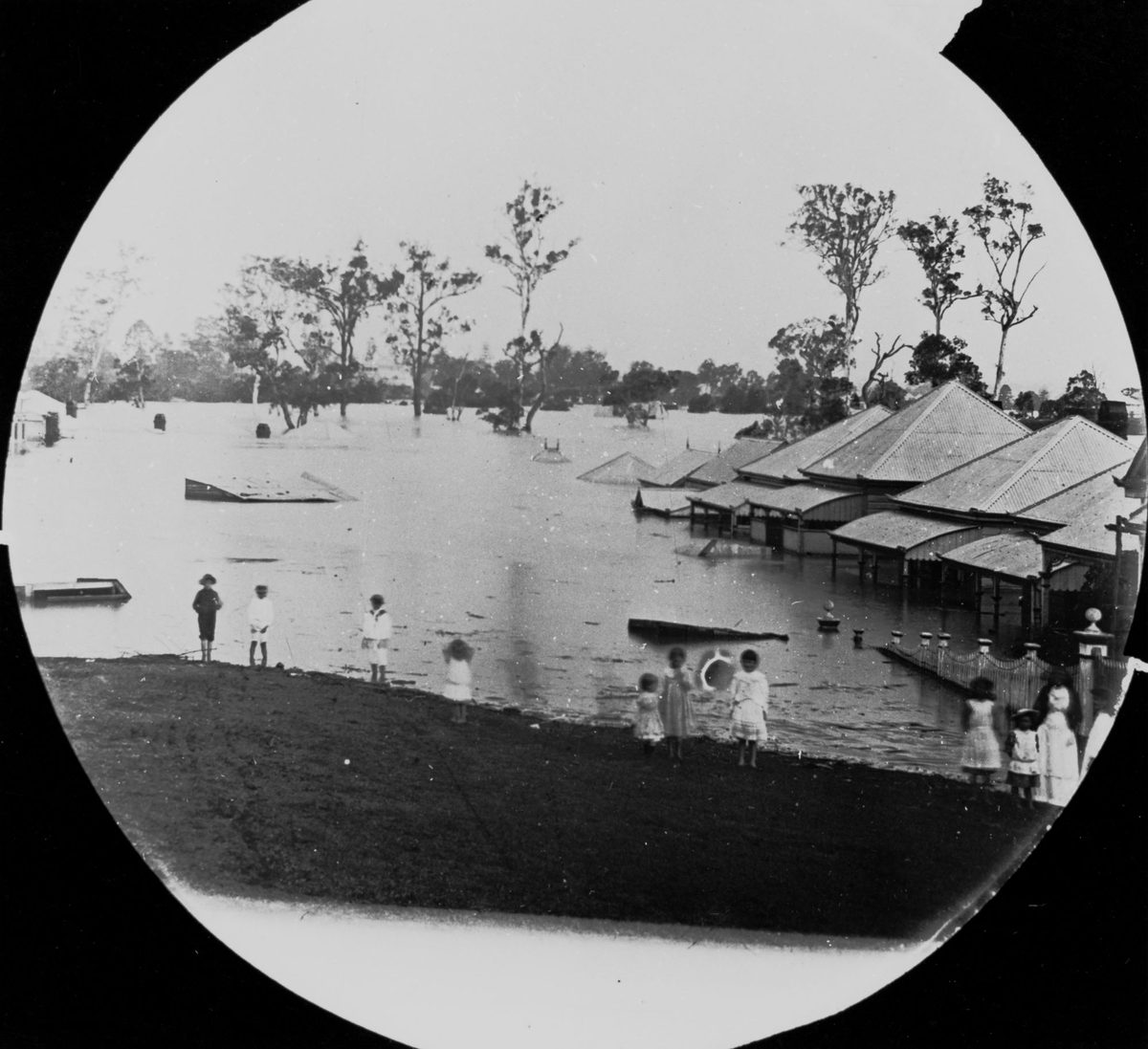 Children standing on the edge of flooded areas in Torwood, Brisbane, 1893
