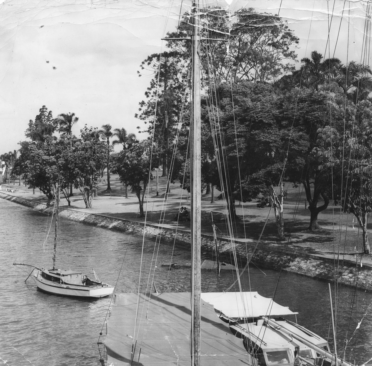 Newstead Park from a yacht on the river, 1950