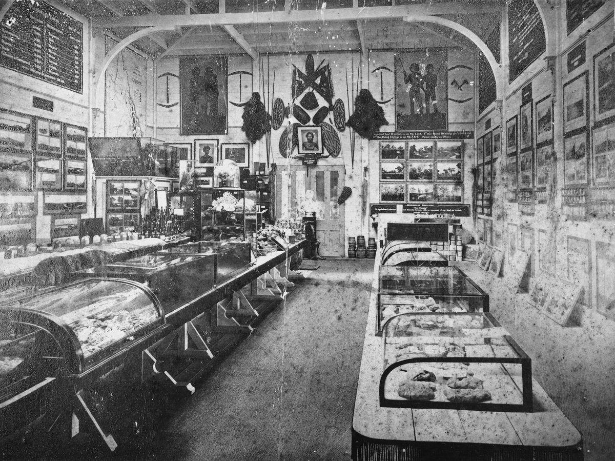 Inside Queensland's first natural history museum, 1872