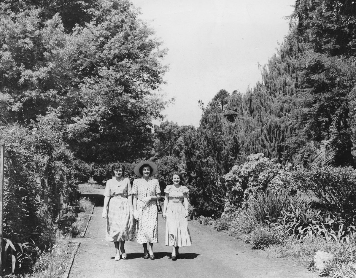 Promenade in Botanic Gardens, Gardens Point, Brisbane, 1950