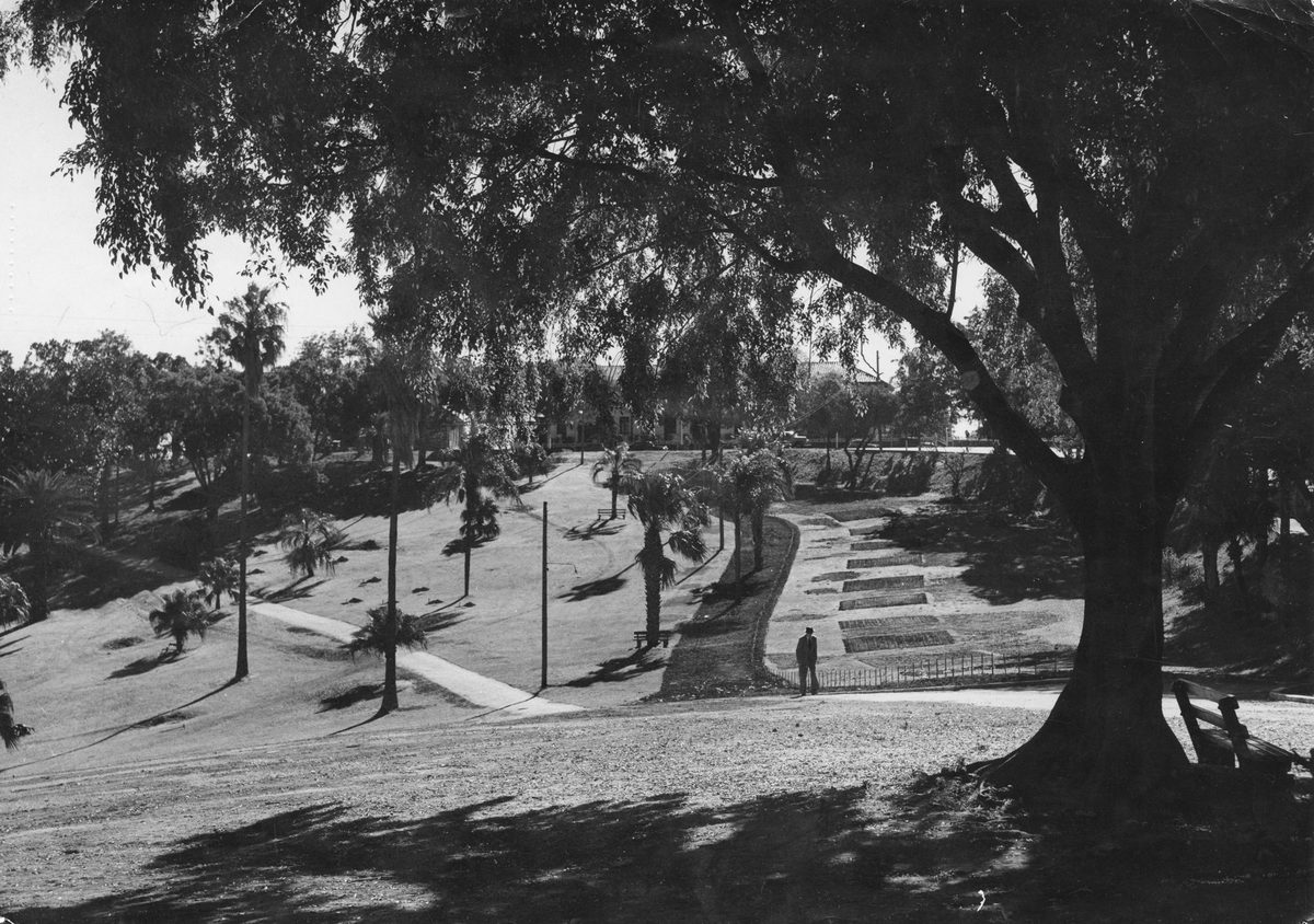 Garden paths on Albert Park, Brisbane, 1949