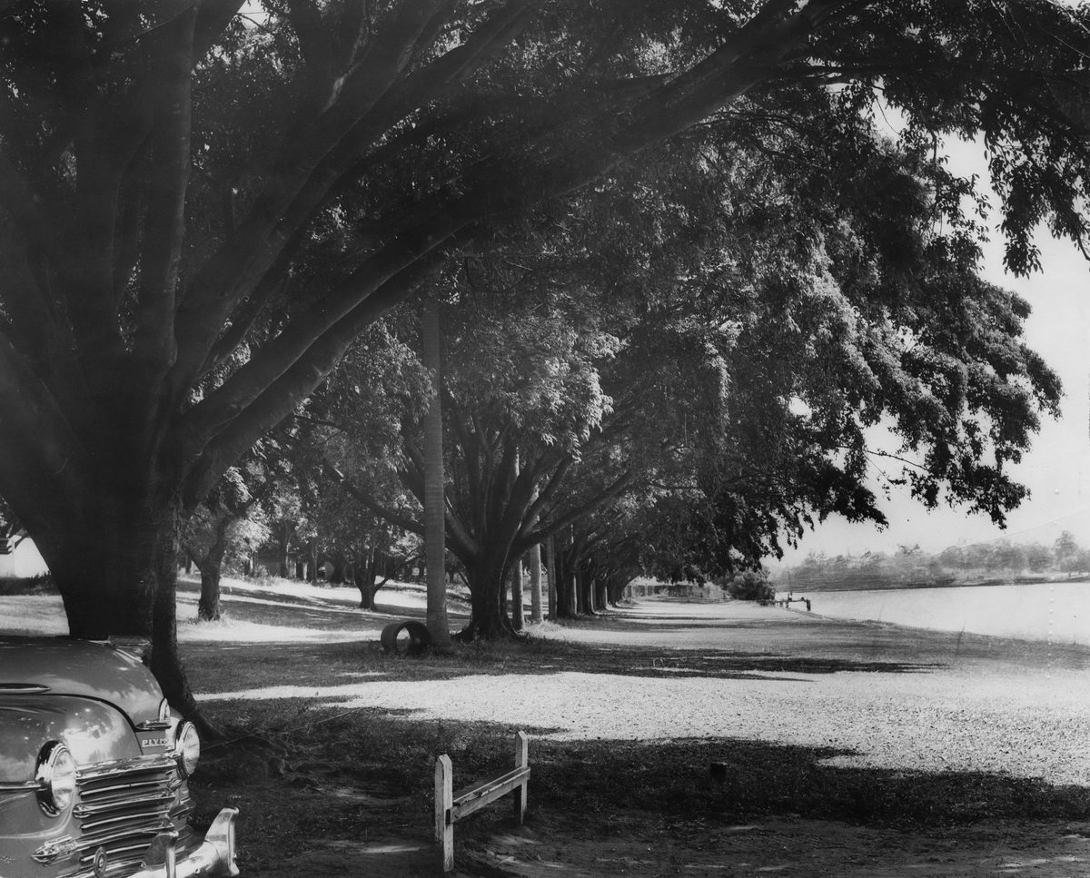 Davies Park, Brisbane, 1950