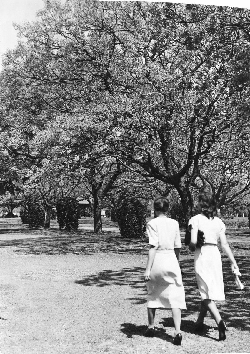 Two ladies walking in New Farm Park, Brisbane, 1948