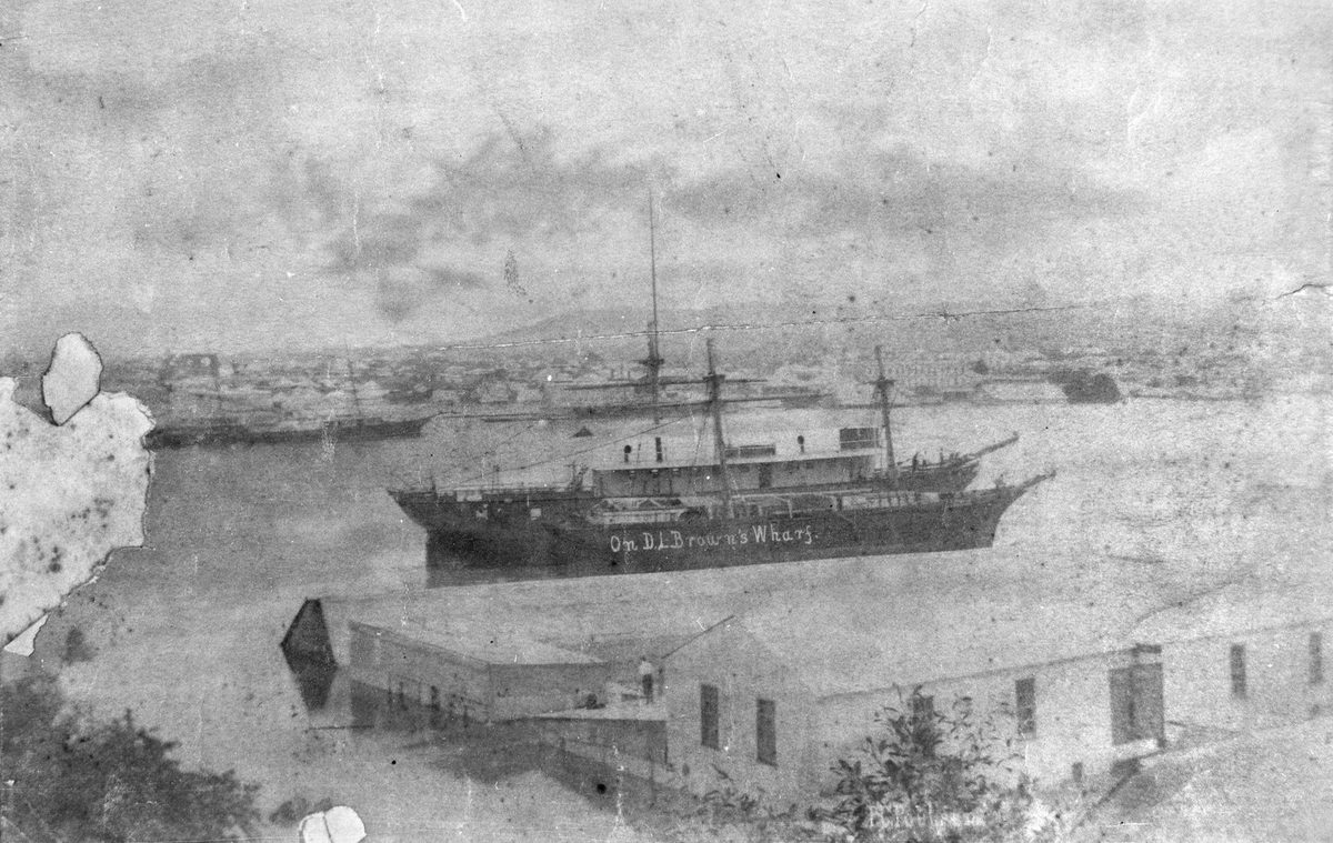 Ships at D. L. Brown's Wharf viewed from Alice Street, Brisbane, during the 1890 flood