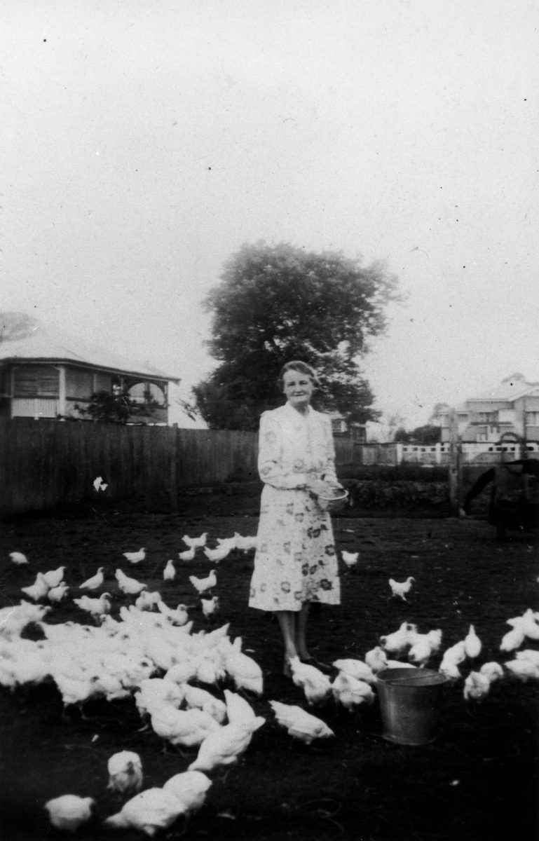 Marie Barlow feeding chickens at Enoggera, 1943