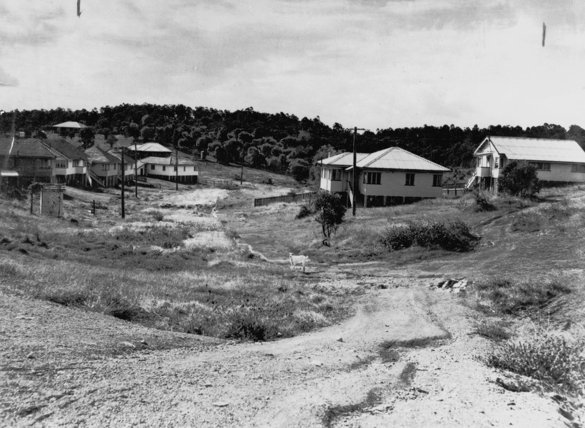 New houses in Seven Hills, Brisbane, 1950
