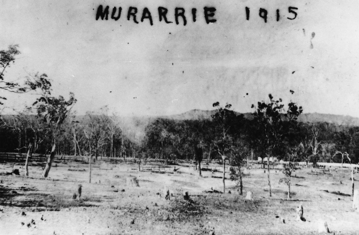 Murarrie, Brisbane, in 1915