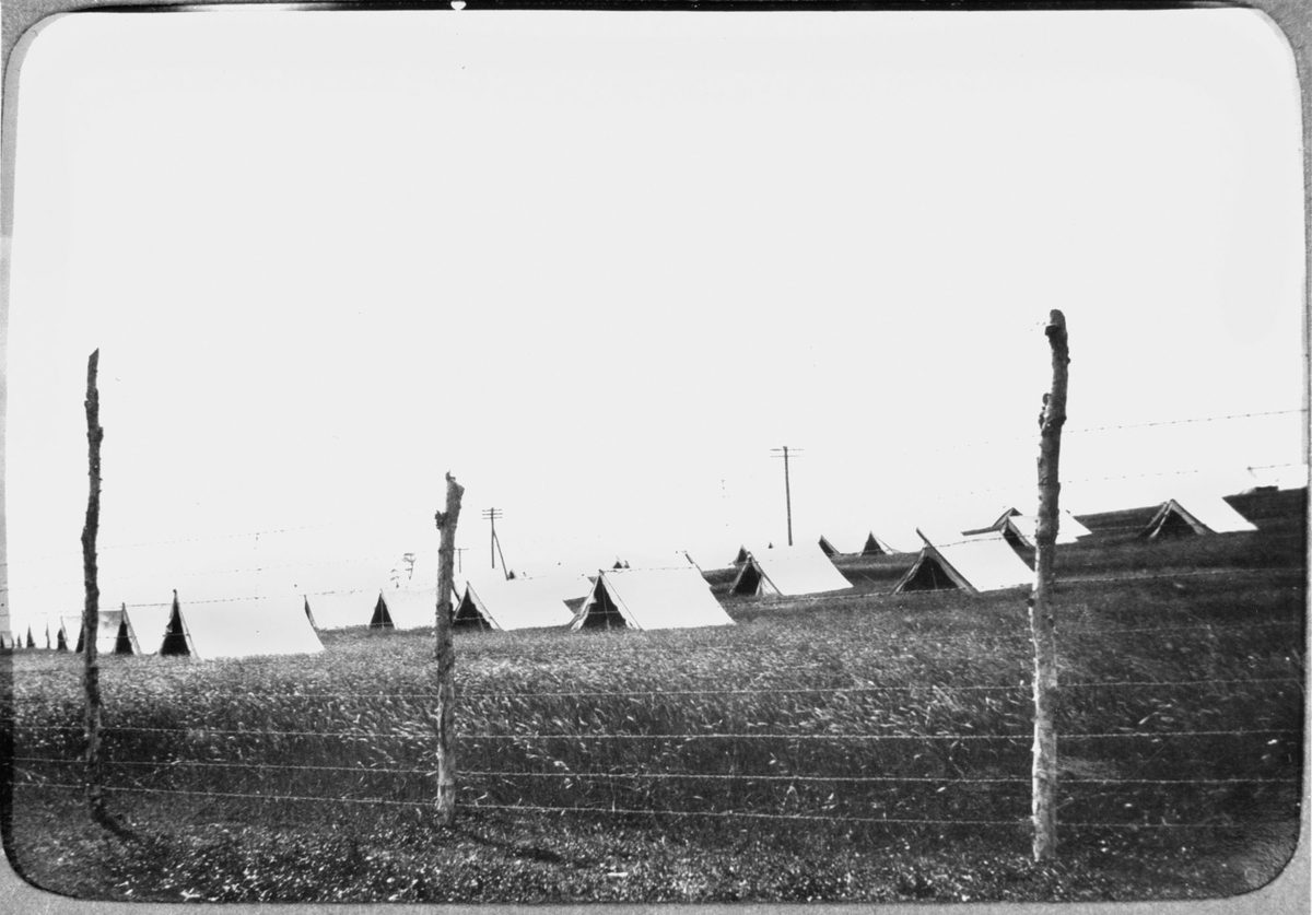 Tents erected at the Lytton Quarantine Camp, Lytton, Brisbane, 1919