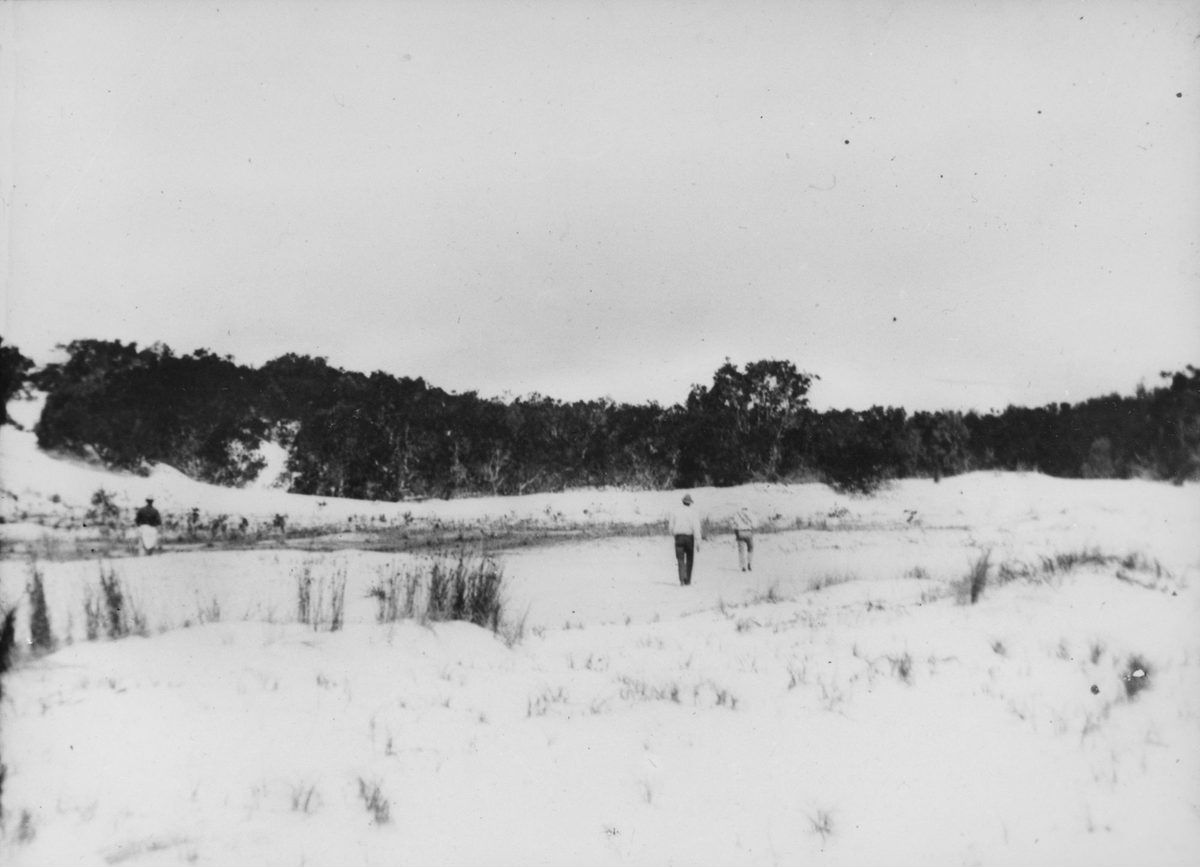 Exploring the sandhills on Moreton Isand, 1890