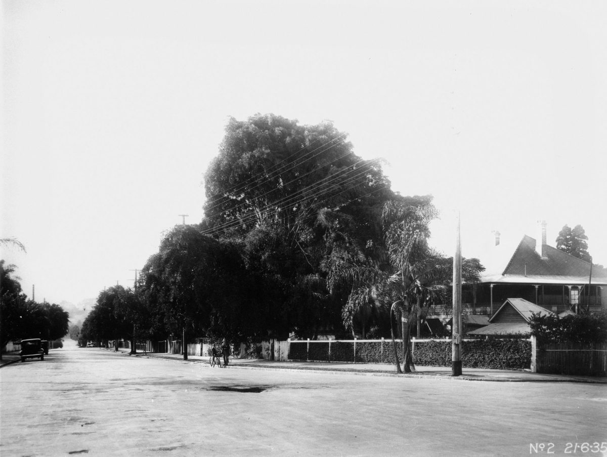 Residential street in the Brisbane suburb of Kangaroo Point, 1935