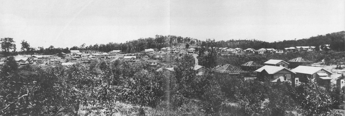 Italian imported housing project at Carina, Brisbane, 1952