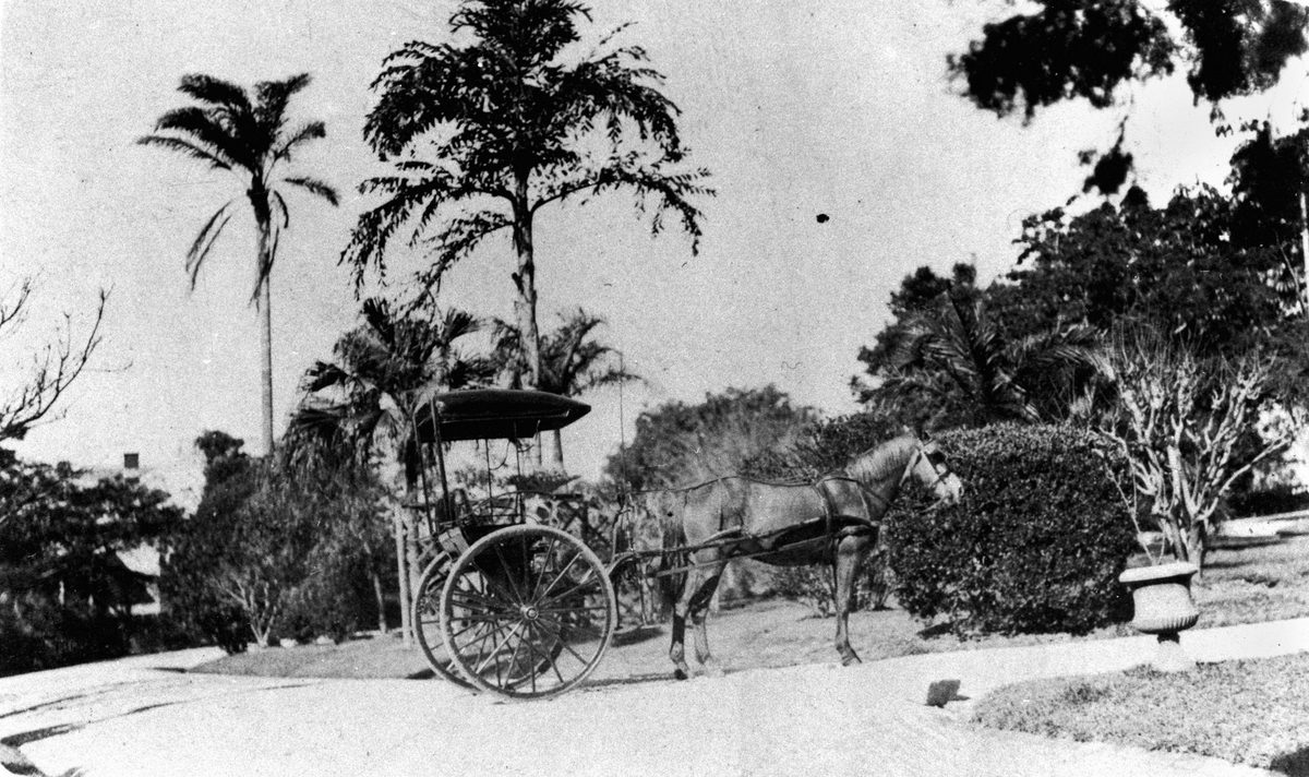 Horse and Buggy waiting in the driveway at Mayfield, Brisbane, 1910