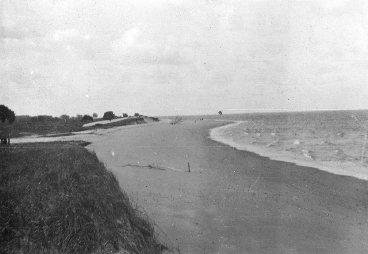 Beach at South Passage, Moreton Island, 1911