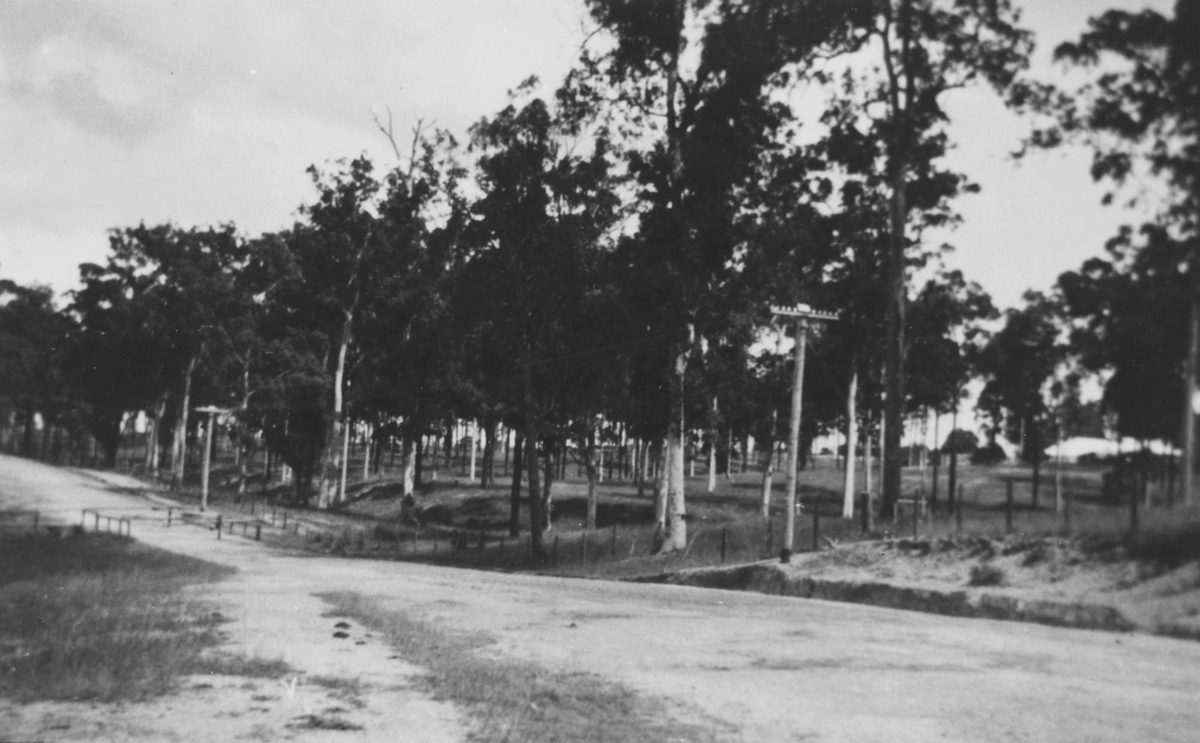 Scene in Ashgrove, Brisbane, 1924