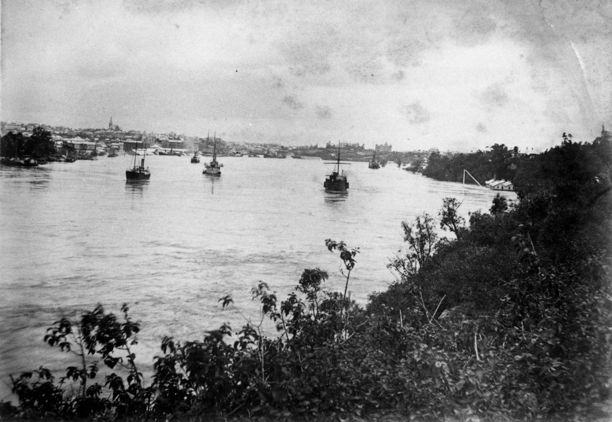 Brisbane Botanic Gardens during flood, 1893