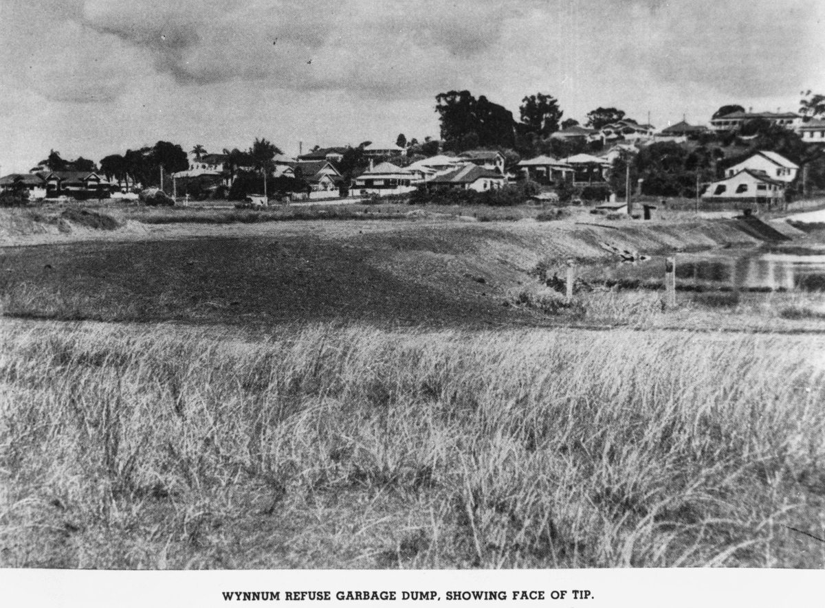 Refuse dump at Wynnum, showing the face of the tip, 1951